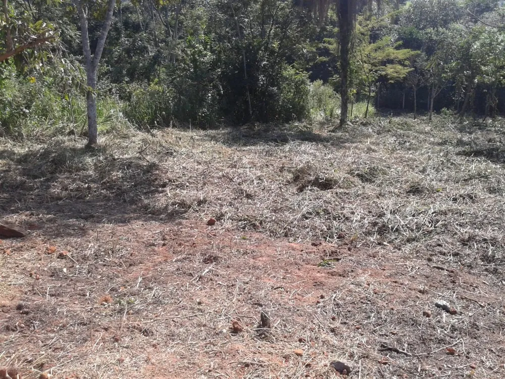 Terreno, 1089 m² - Foto 7