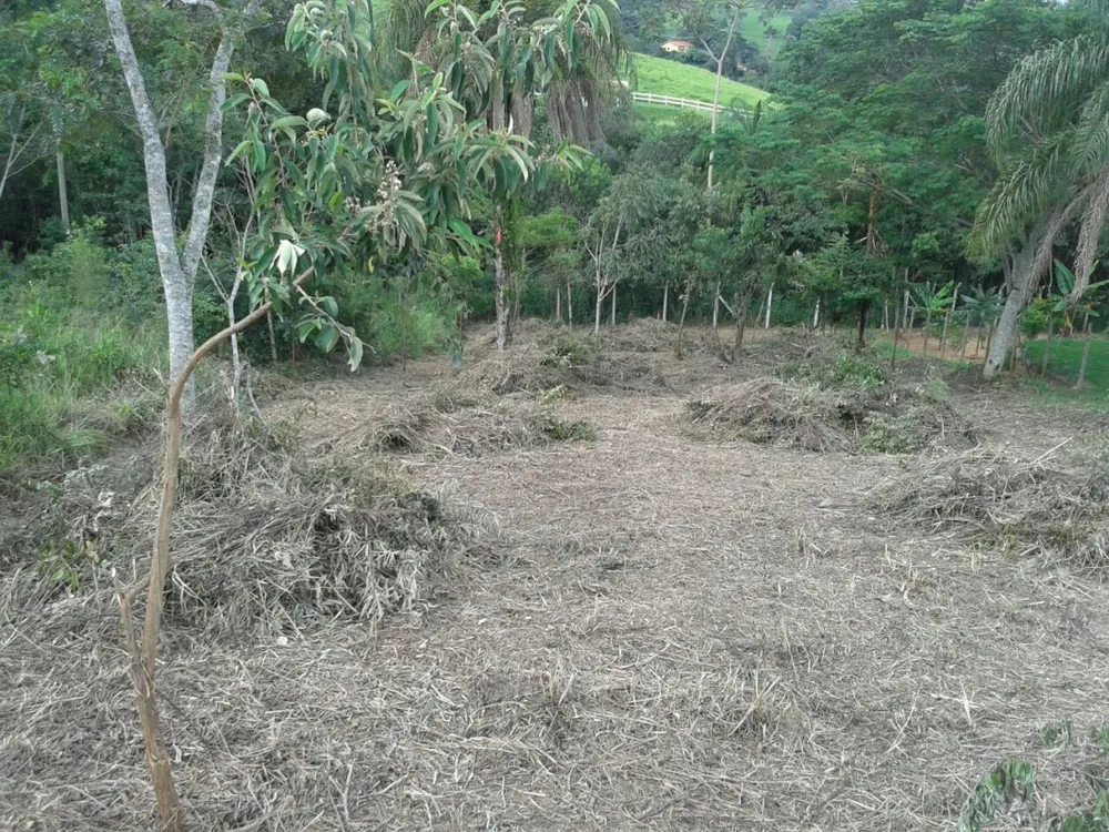 Terreno, 1089 m² - Foto 8