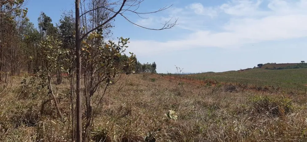 Fazenda, 323 hectares - Foto 10