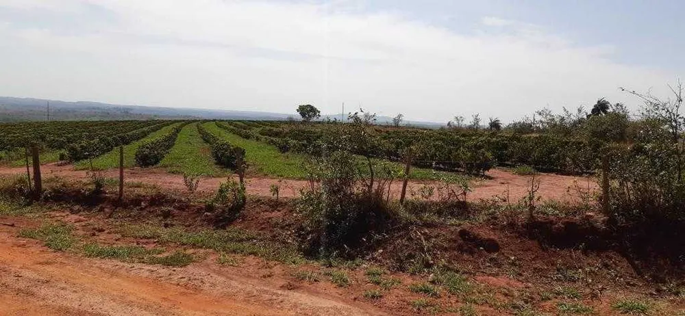 Fazenda, 323 hectares - Foto 11