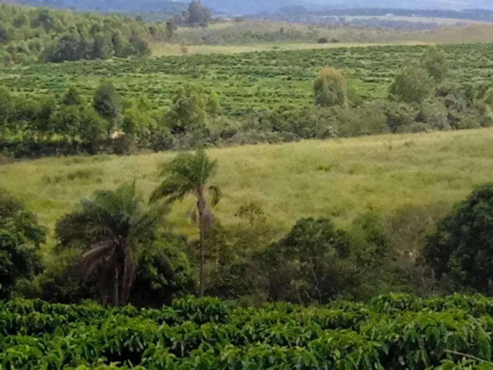 Fazenda, 323 hectares - Foto 6