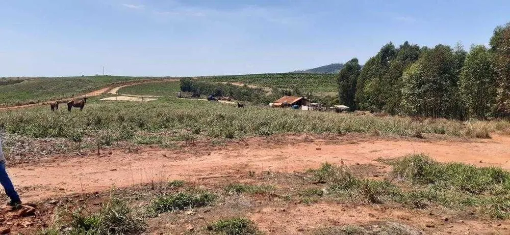 Fazenda, 323 hectares - Foto 17