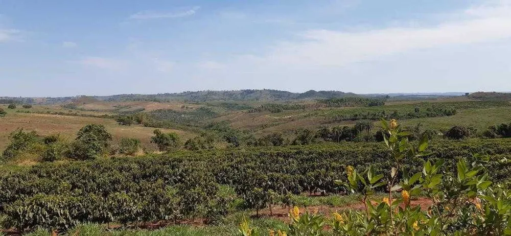 Fazenda, 323 hectares - Foto 13