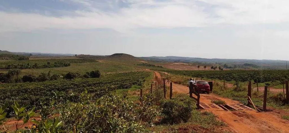 Fazenda, 323 hectares - Foto 18