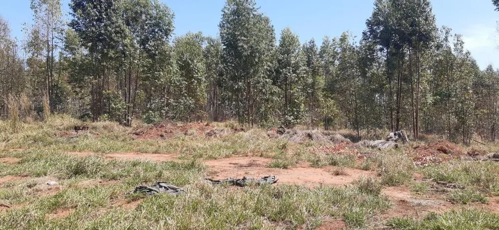 Fazenda, 323 hectares - Foto 16