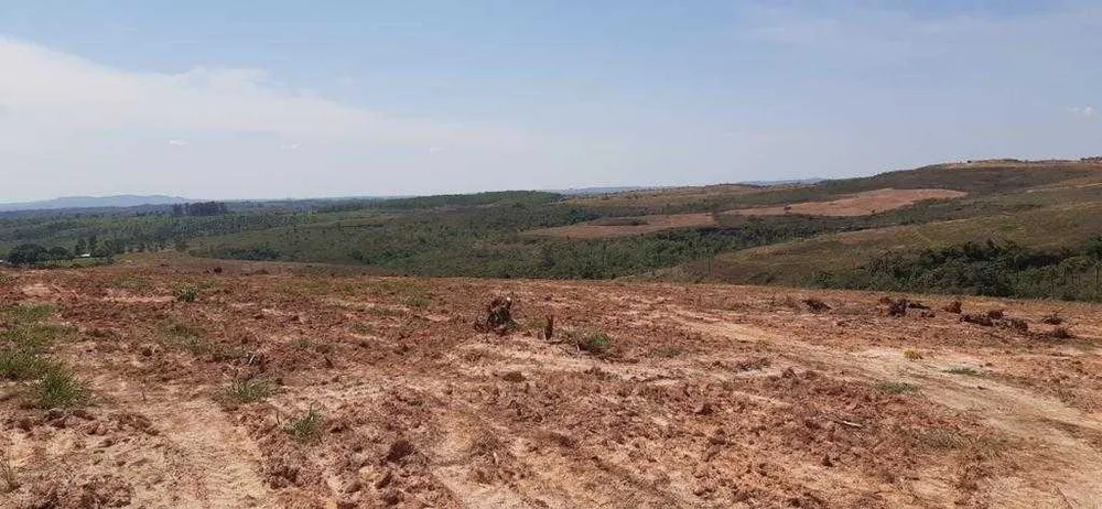 Fazenda, 323 hectares - Foto 20