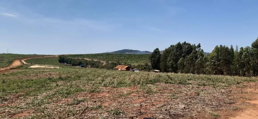 Fazenda, 323 hectares - Foto 19