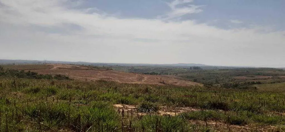 Fazenda, 323 hectares - Foto 14