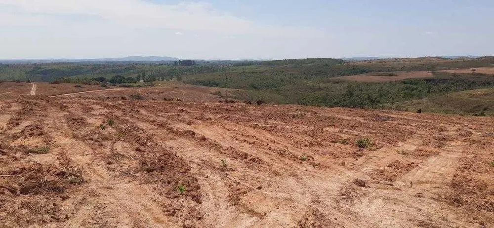 Fazenda, 323 hectares - Foto 21