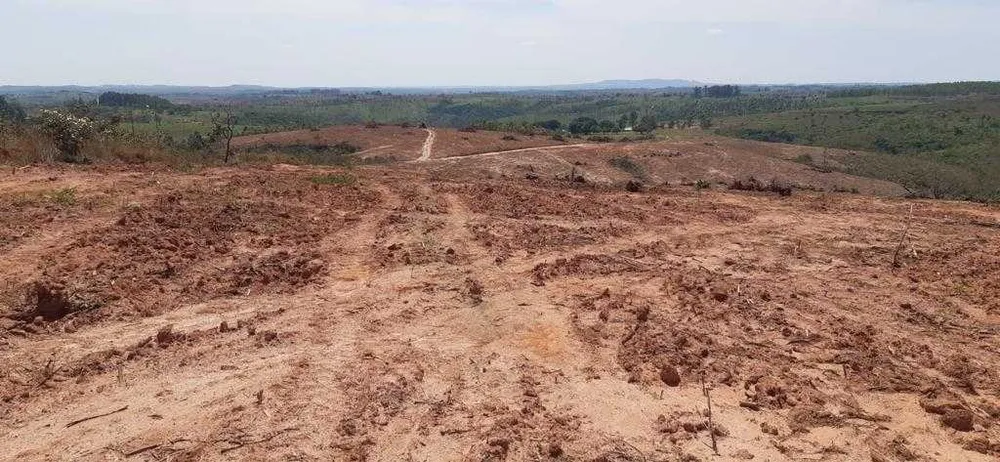 Fazenda, 323 hectares - Foto 22