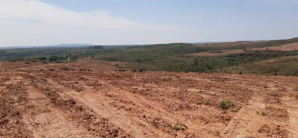 Fazenda, 323 hectares - Foto 23