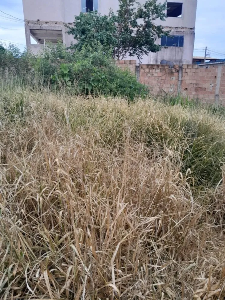 Terreno, 360 m² - Foto 6