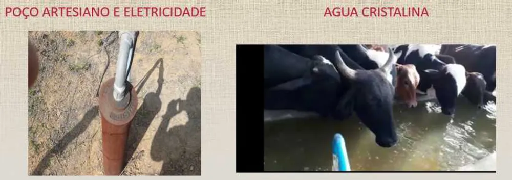 Fazenda, 1 quarto - Foto 2