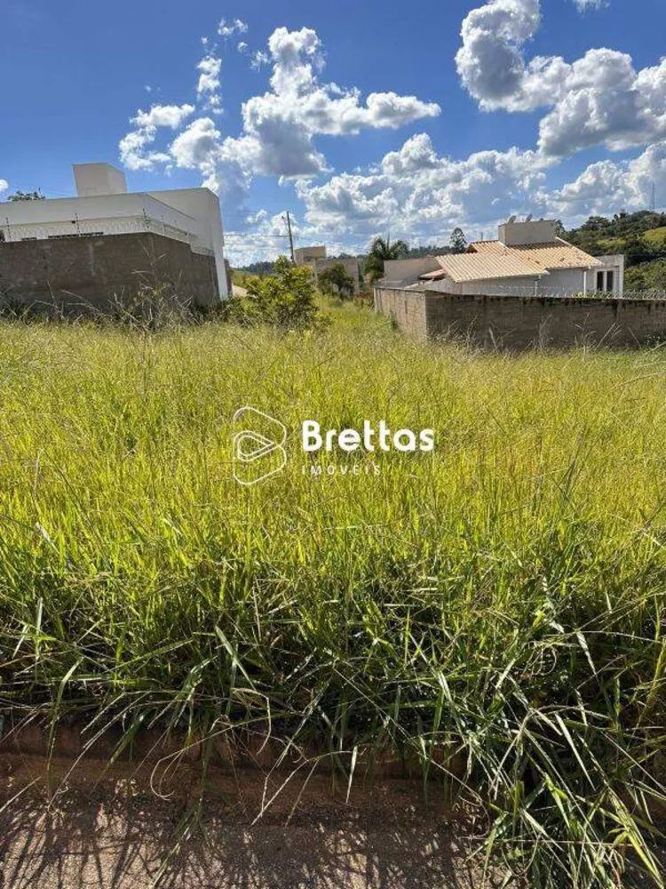 Terreno, 300 m² - Foto 3