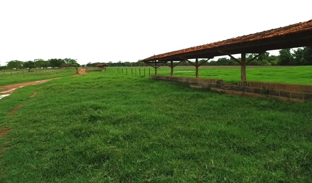 Fazenda, 1000 hectares - Foto 4