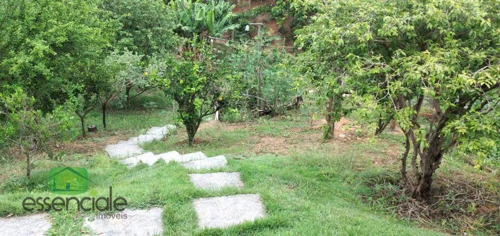 Chácara, 4 quartos, 2570 m² - Foto 11
