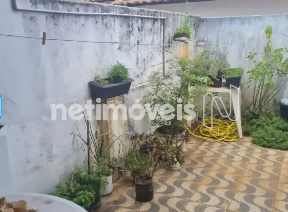 Casa, 3 quartos, 300 m² - Foto 11