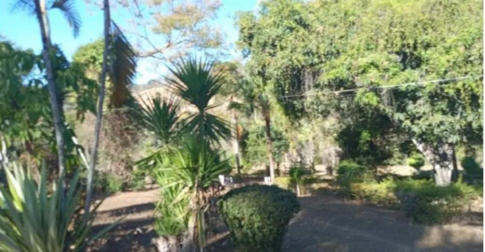 Fazenda, 80 hectares - Foto 13