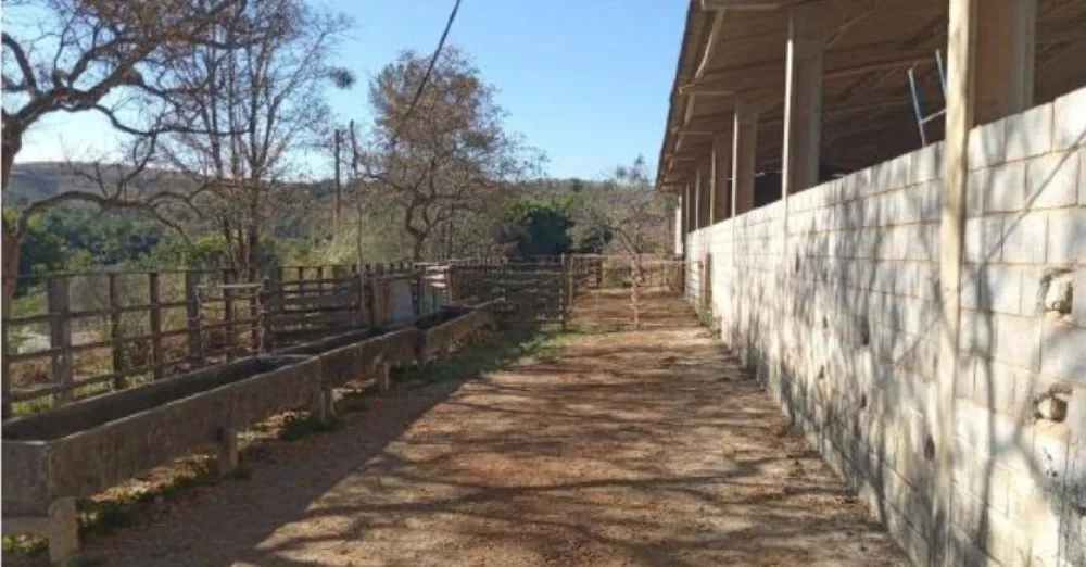 Fazenda, 80 hectares - Foto 8