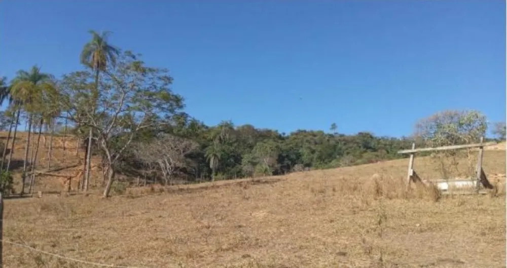 Fazenda, 80 hectares - Foto 10