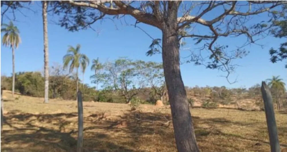 Fazenda, 80 hectares - Foto 18