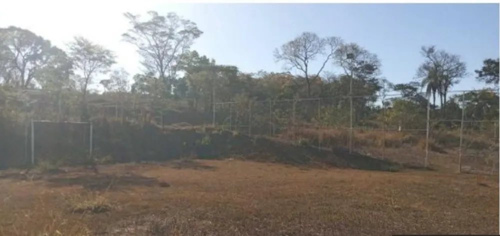 Fazenda, 80 hectares - Foto 14