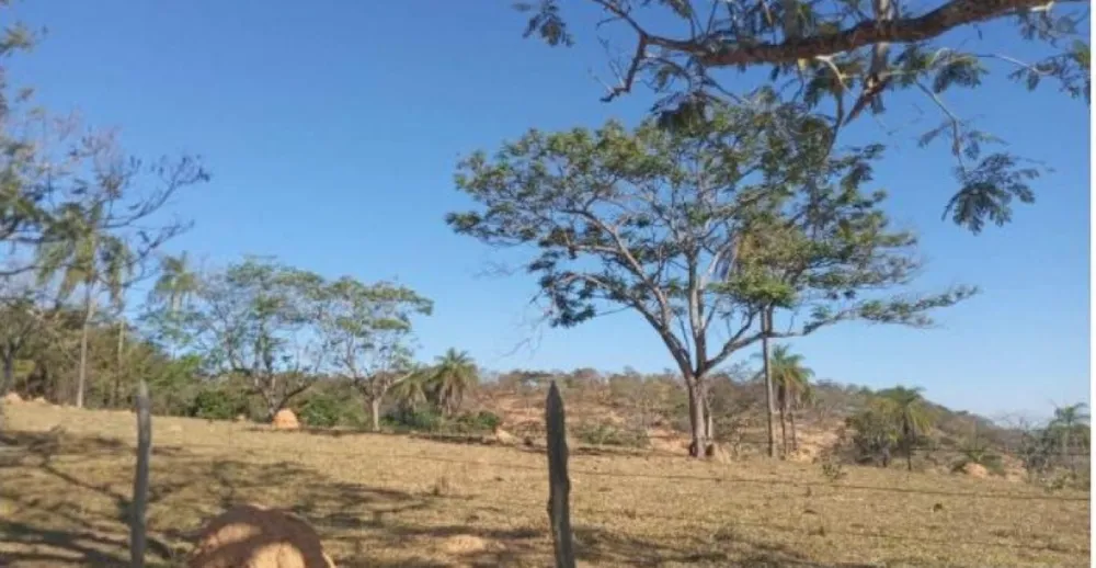 Fazenda, 80 hectares - Foto 19