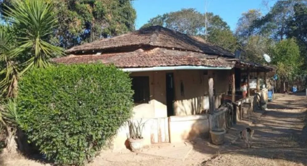 Fazenda, 80 hectares - Foto 7