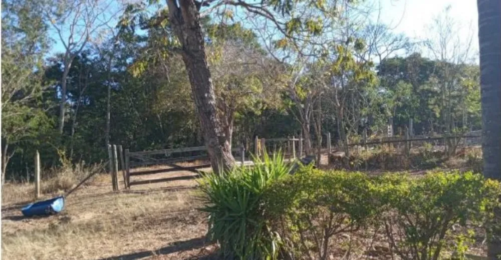 Fazenda, 80 hectares - Foto 12