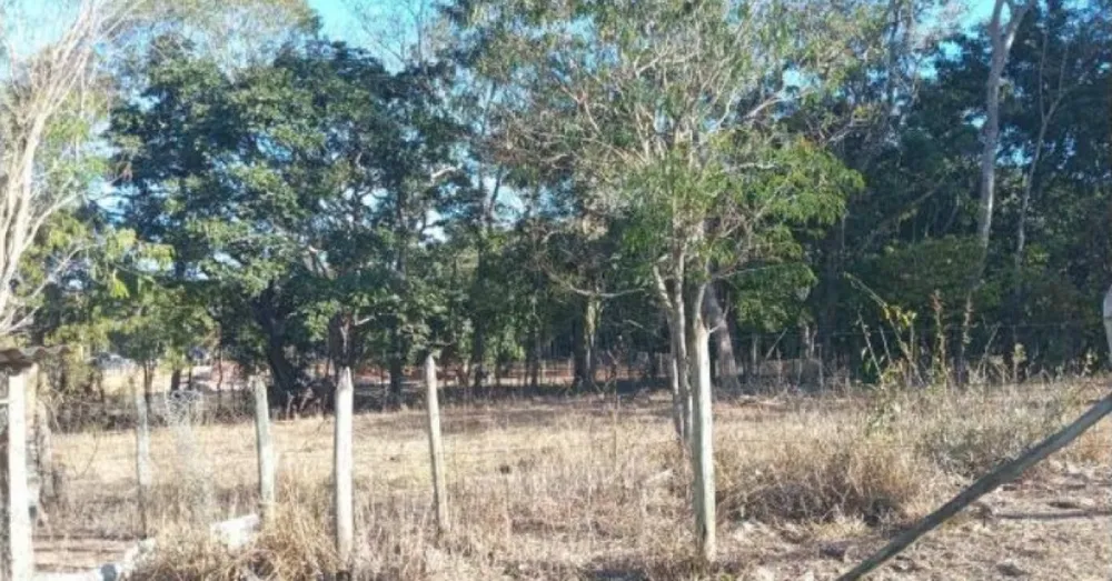 Fazenda, 80 hectares - Foto 11
