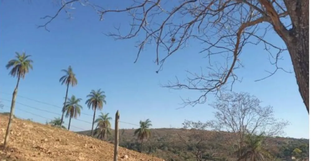 Fazenda, 80 hectares - Foto 20