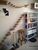 Apartamento, 3 quartos, 74 m² - Foto 4