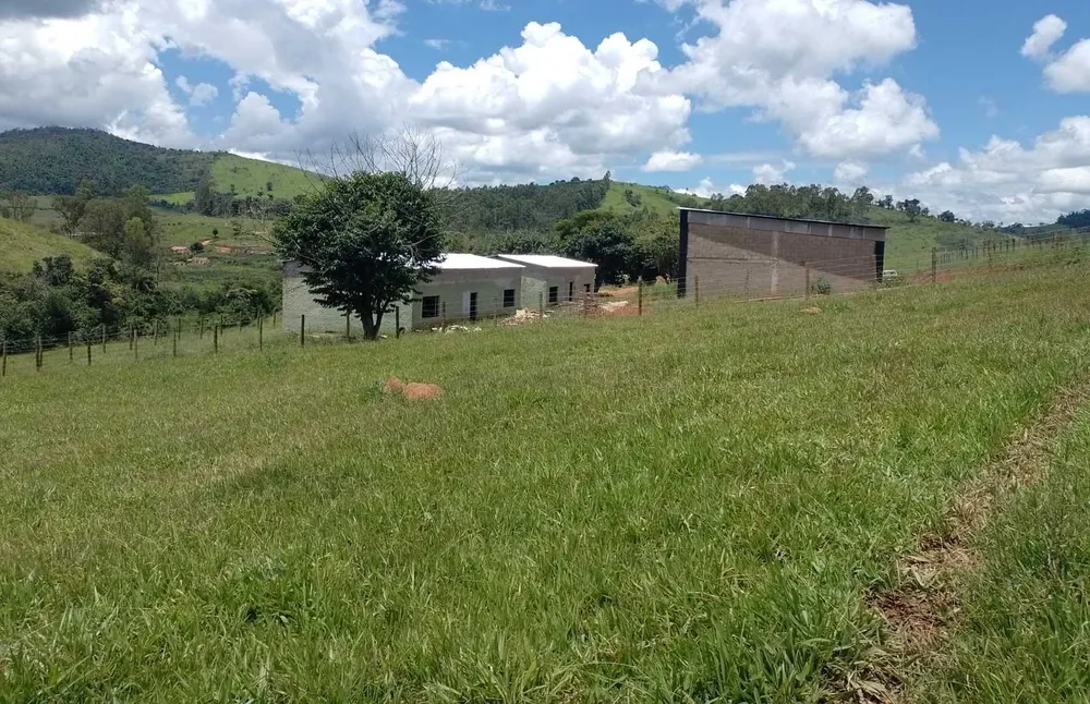 Fazenda, 170 hectares - Foto 4