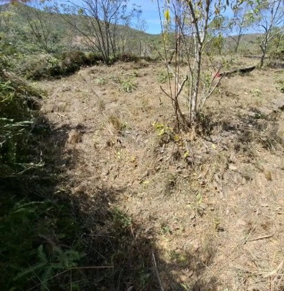 Terreno, 5000 m² - Foto 1