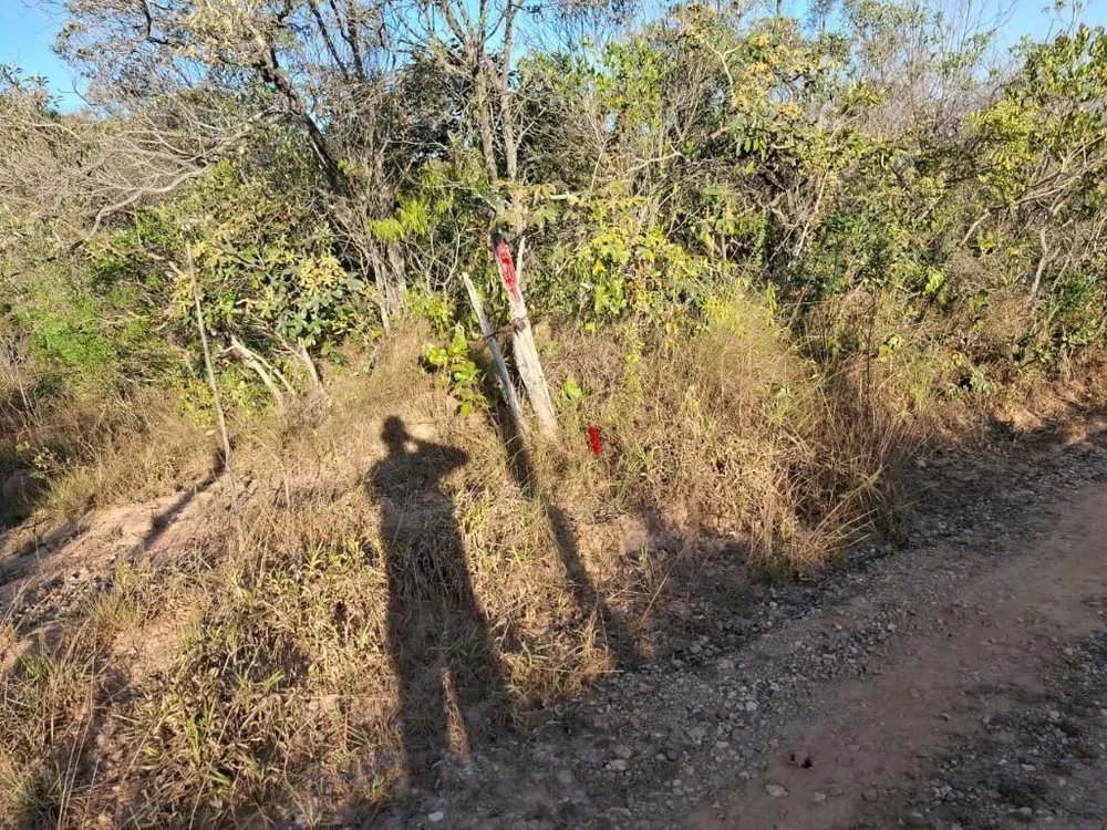 Terreno, 5000 m² - Foto 6