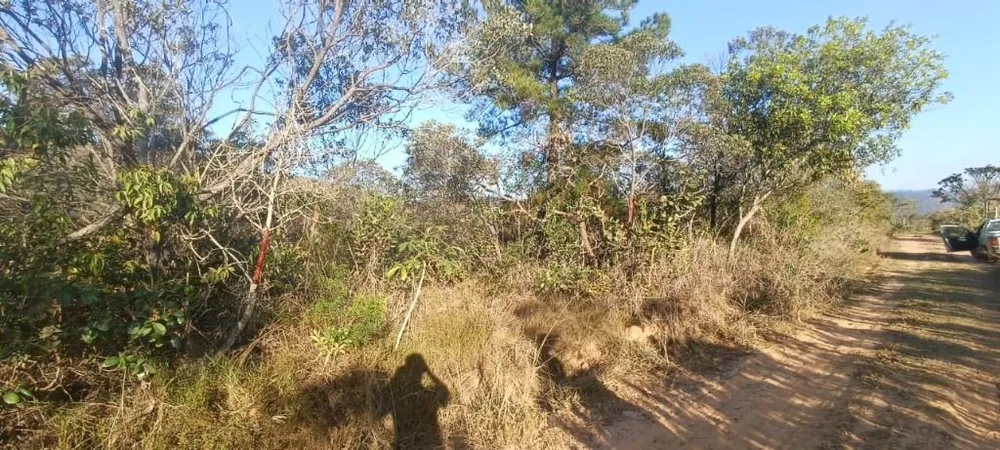 Terreno, 5000 m² - Foto 3