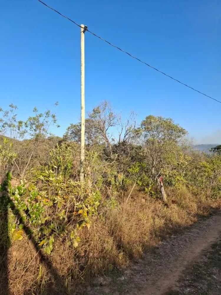 Terreno, 5000 m² - Foto 5