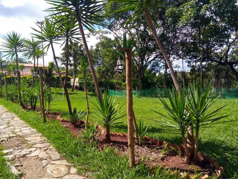 Chácara, 7 quartos, 3000 m² - Foto 4