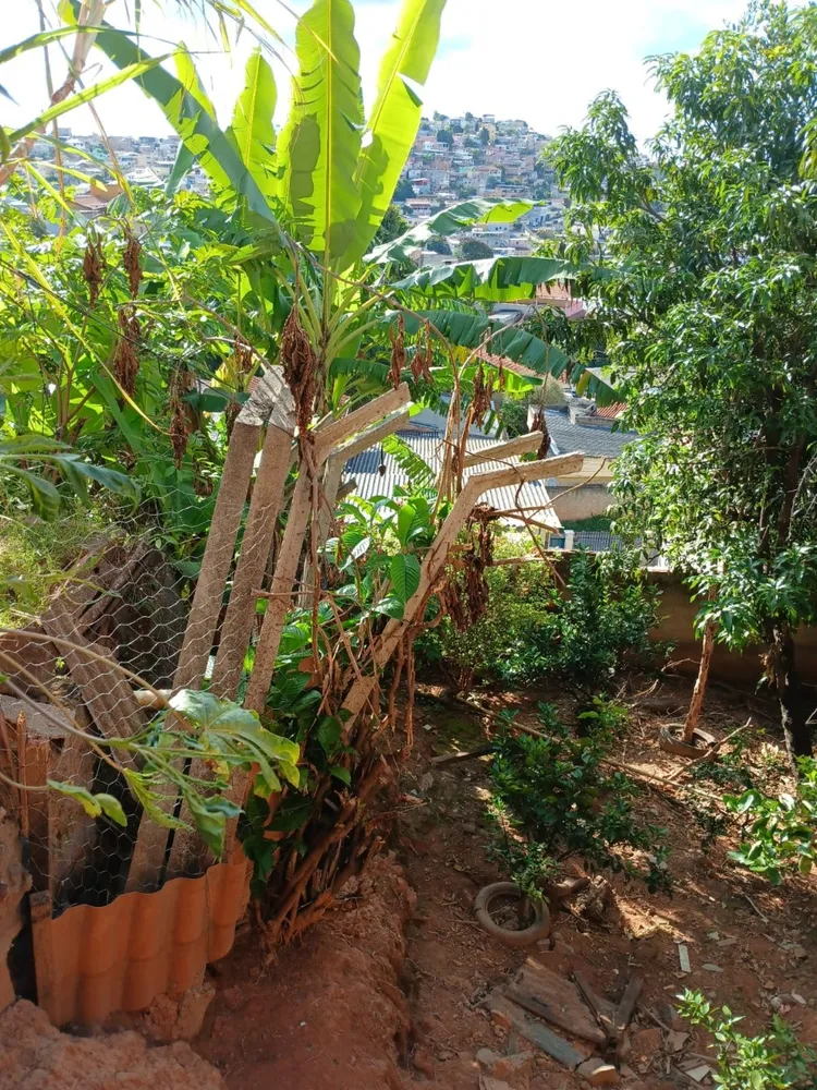 Casa, 4 quartos, 272 m² - Foto 12