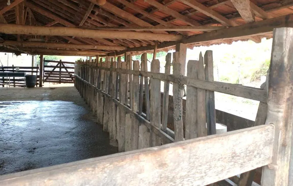 Fazenda, 109 hectares - Foto 11