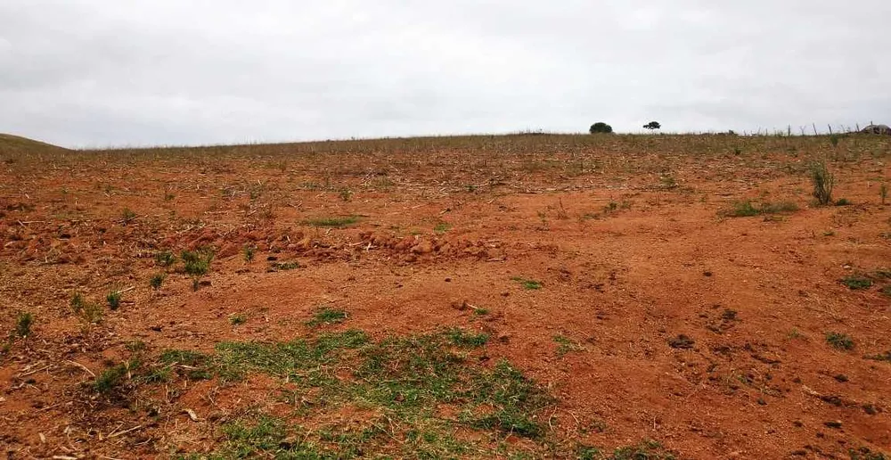 Fazenda, 109 hectares - Foto 2