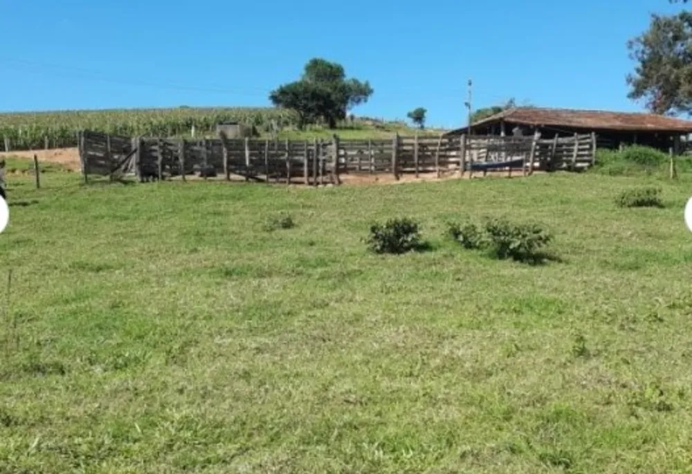 Fazenda, 109 hectares - Foto 7