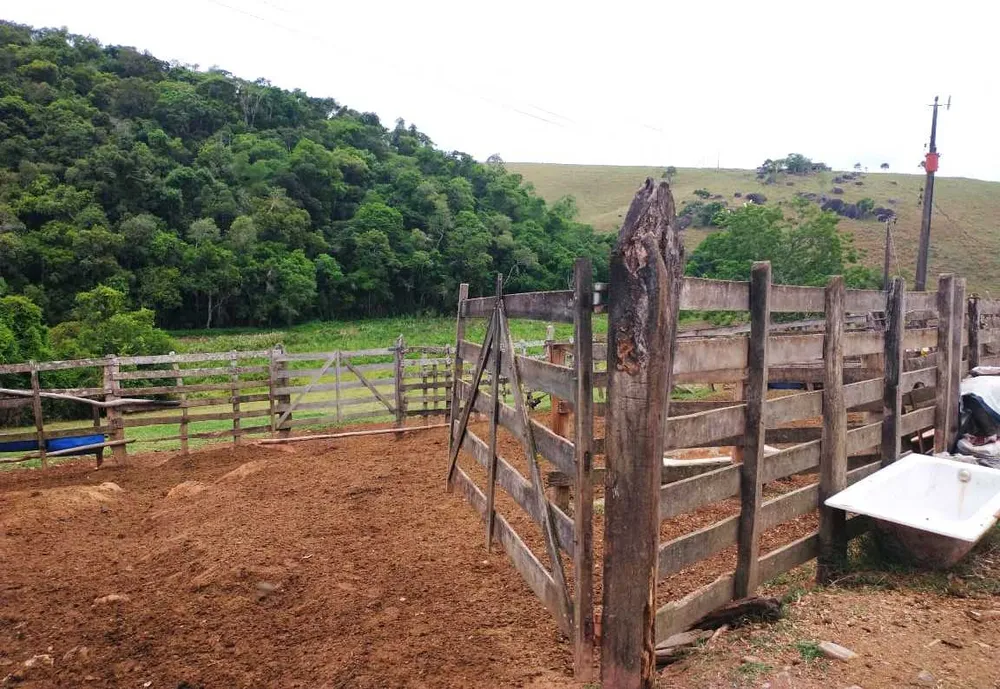 Fazenda, 109 hectares - Foto 5