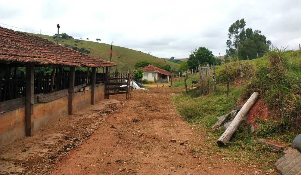 Fazenda, 109 hectares - Foto 4