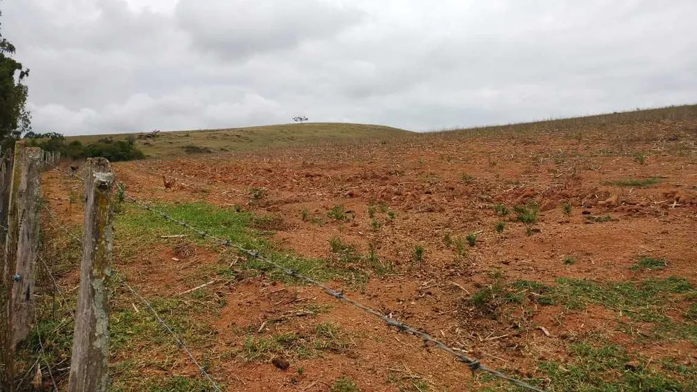 Fazenda, 109 hectares - Foto 8