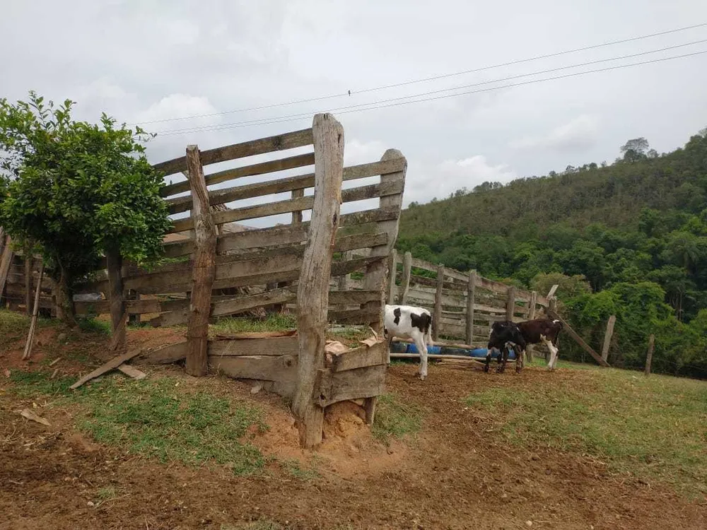 Fazenda, 109 hectares - Foto 2