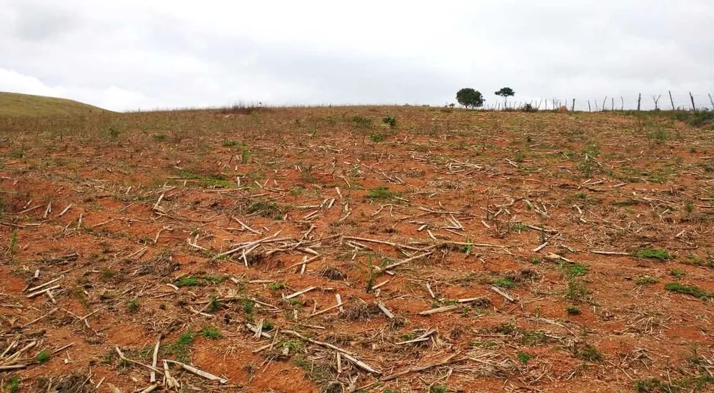 Fazenda, 109 hectares - Foto 8