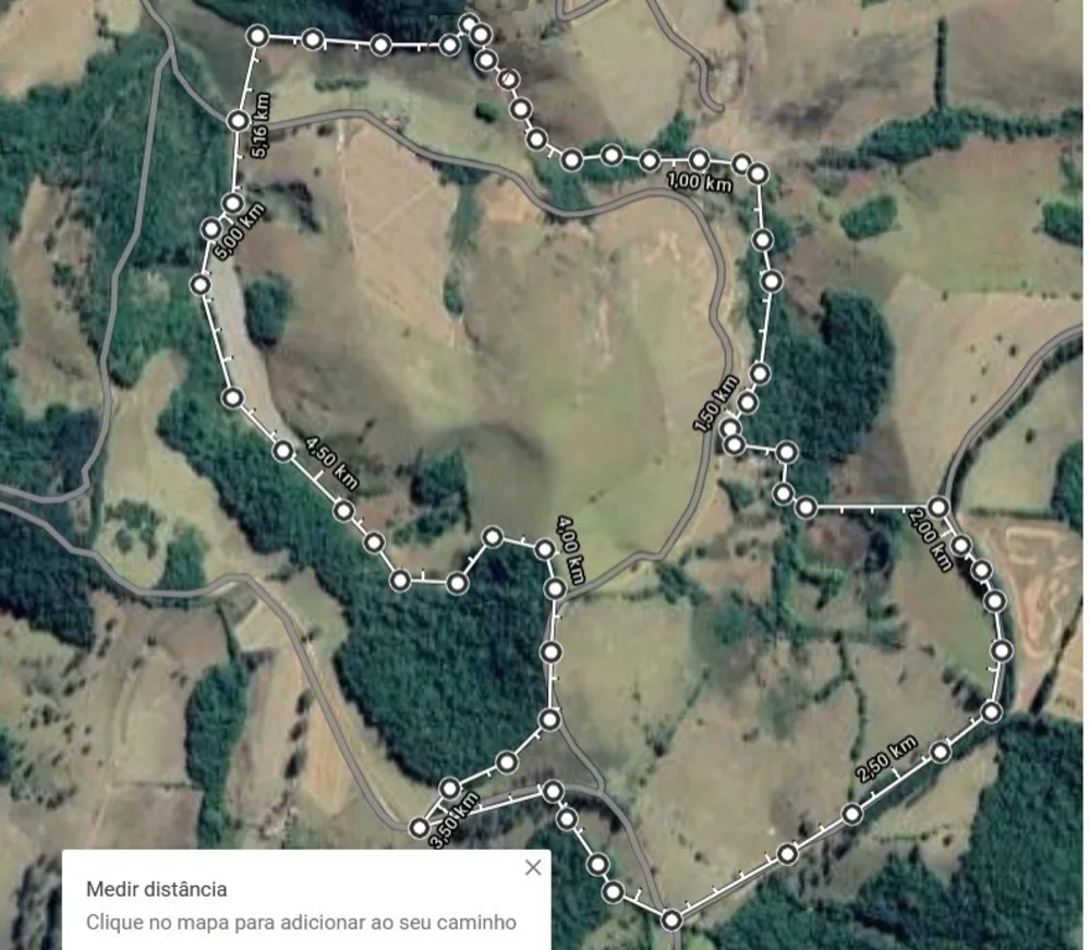 Fazenda, 109 hectares - Foto 14
