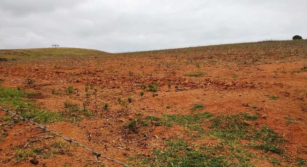 Fazenda, 109 hectares - Foto 1