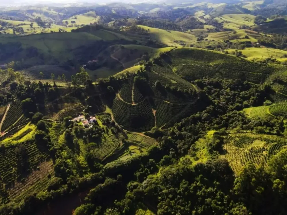 Fazenda, 48 hectares - Foto 1